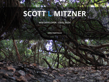 Scott L Mitzner