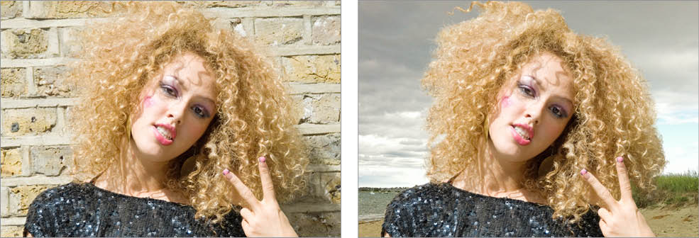 Photoshop Tutorial: Using Hair Brushes to Paint Hair Masks | Noble Desktop  Blog