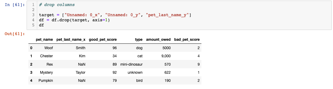 Pandas Drop Columns Example