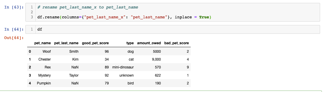 Rename Column Pandas Exercise