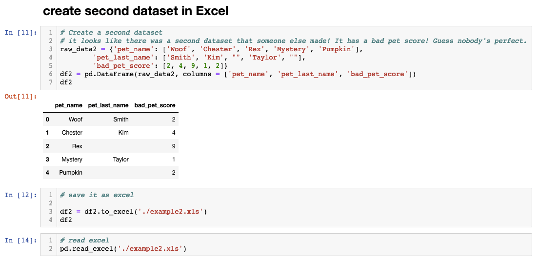 Pandas to Excel function example