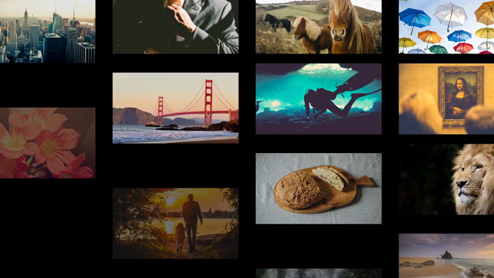 Edit videos and create motion graphics in Adobe Premiere and After Effects courses