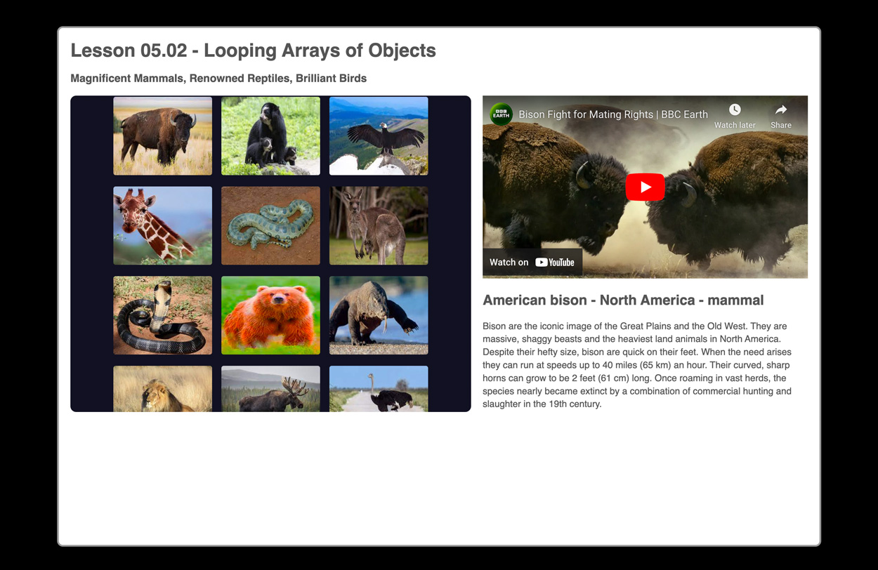 Video-Player-Looping-Arrays-of-Objects-DOM